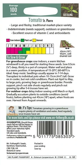 Tomato St Pierre Seeds - image 2