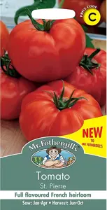 Tomato St Pierre Seeds - image 1