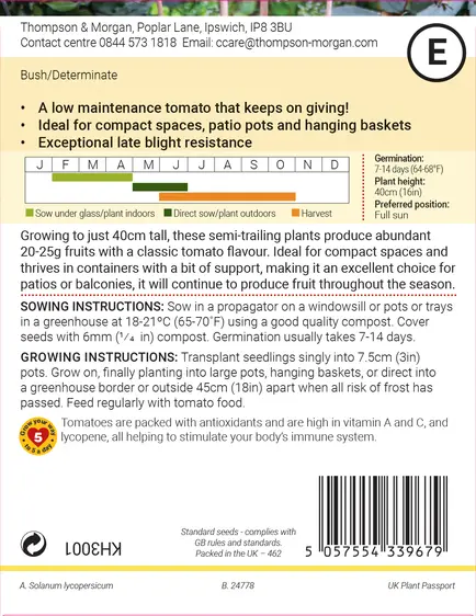 Tomato Summer Dew F1 Seeds - image 2