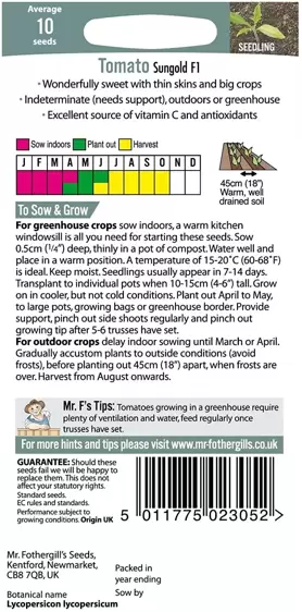 Tomato Sungold F1 - image 2