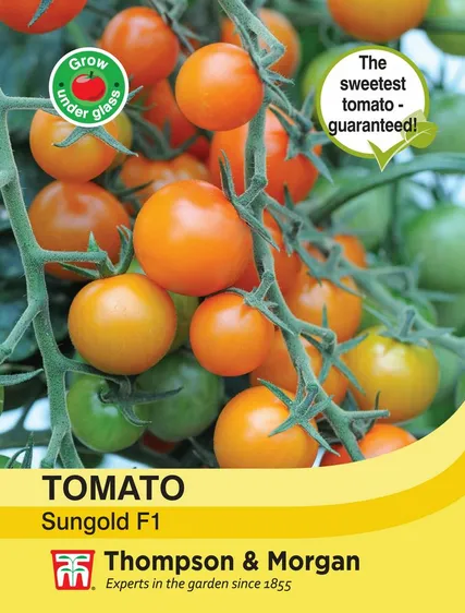 Tomato Sungold F1 - image 1