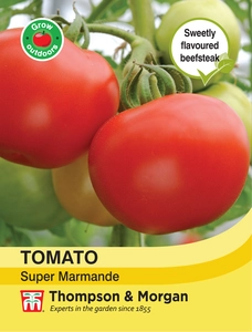 Tomato Super Marmande - image 1