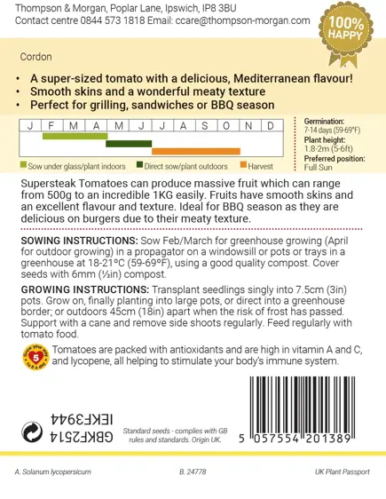 Tomato Supersteak F1 Seeds - image 2