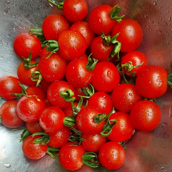 Tomato 'Sweet Aperitif'