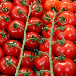 Tomato 'Sweet Million'