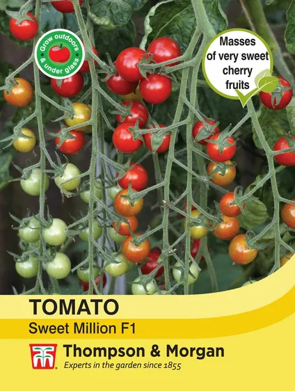 Tomato Sweet Million F1 - image 1