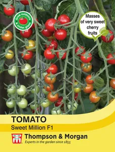 Tomato Sweet Million F1 - image 1
