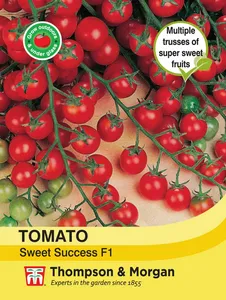 Tomato Sweet Success - image 1