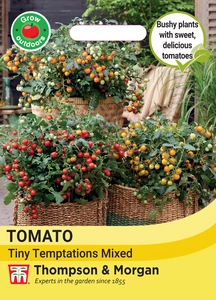 Tomato Tiny Temptations Mixed - image 1