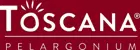 Toscana Pelargonium