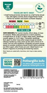 Trachelium White Knight - image 2