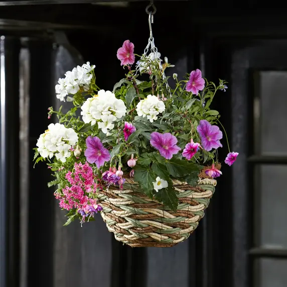 Trinity Hanging Basket 14" - image 1
