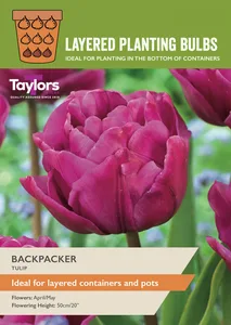 Tulip Backpacker