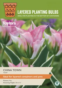 Tulip China Town