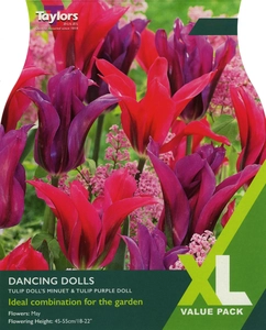Tulip Dancing Dolls