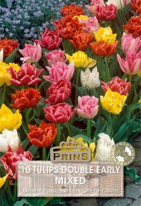 Tulip Double Early Mix - 10 Bulbs