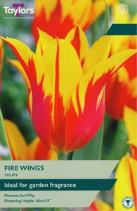 Tulip Fire Wings