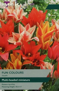 Tulip Fun Colours