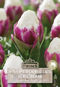 Tulip Ice Cream