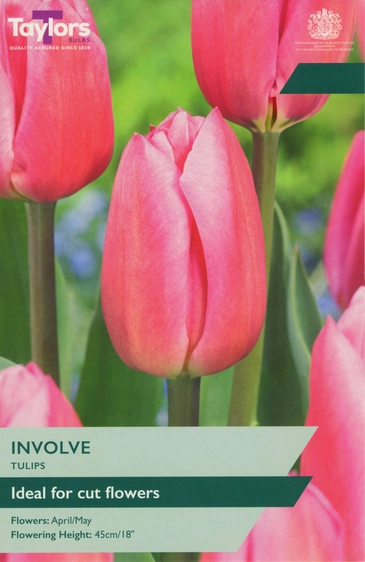 Tulip Involve