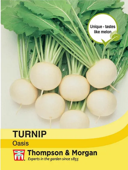 Turnip Oasis - image 1