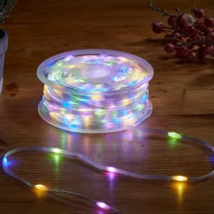 Two-Tone String Lights - 100 Lights - image 1
