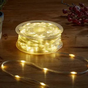 Two-Tone String Lights - 100 Lights - image 2