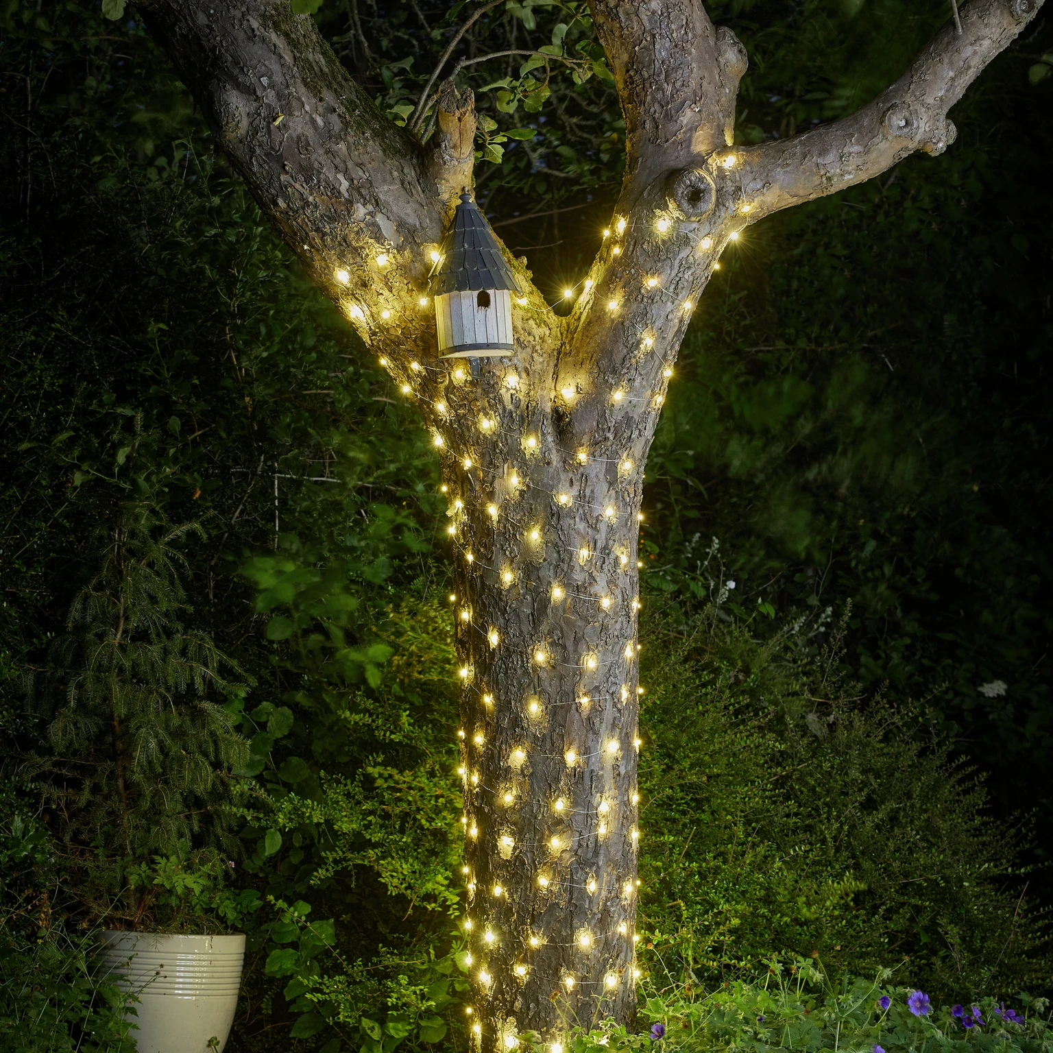 Firefly cheap string lights