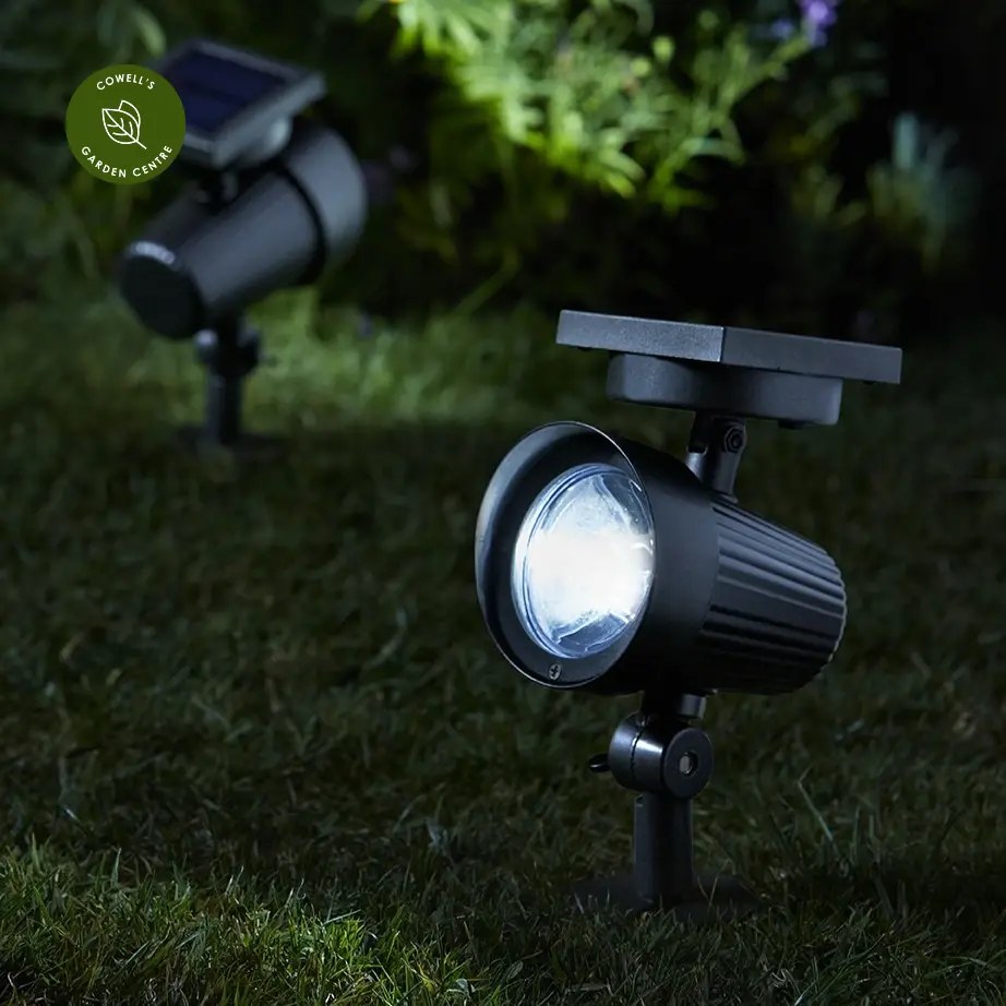 Ultra on sale bright spotlight