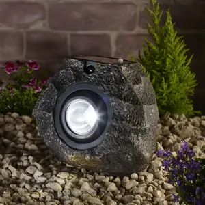 Ultrabright Rock Light