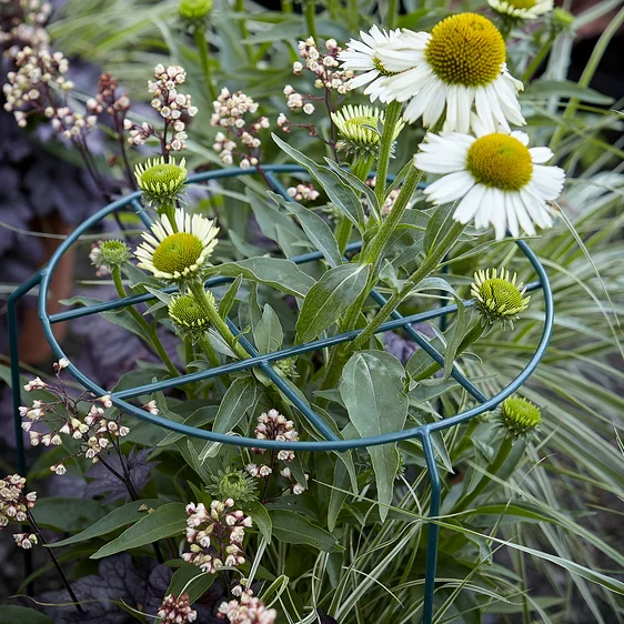 Urban Garden Grow Thru Plant Support - Large - image 1