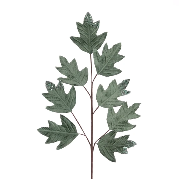 Velvet Leaf Stem