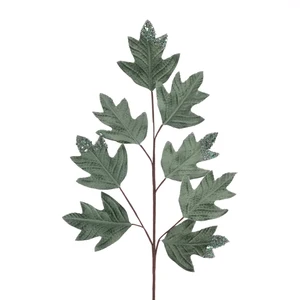 Velvet Leaf Stem