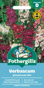 Verbascum Phoeniceum Mixed - image 1
