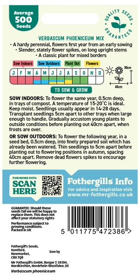 Verbascum Phoeniceum Mixed - image 2