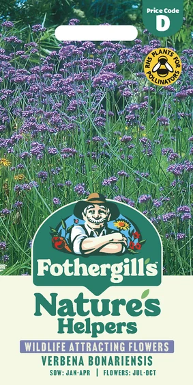 Verbena Bonariensis - image 1