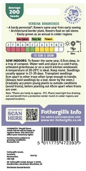 Verbena Bonariensis - image 2