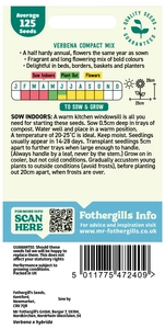 Verbena Compact Mixed - image 2