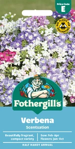 Verbena Scentsation - image 1