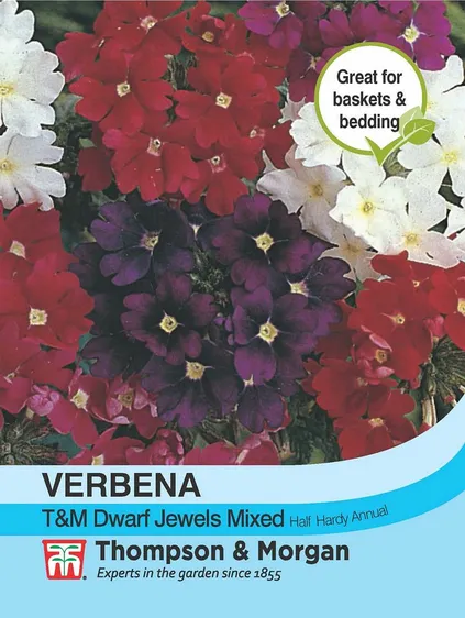 Verbena T&M Dwarf Jewels Mixed - image 1