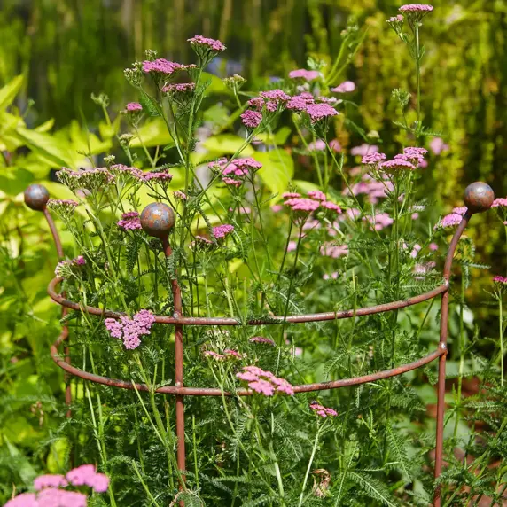 Vestige Double Arc Plant Support