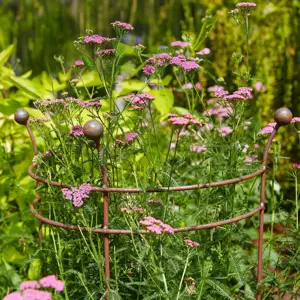 Vestige Double Arc Plant Support