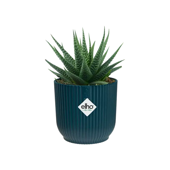 elho Vibes Fold Deep Blue Mini Pot Ø11cm - image 3