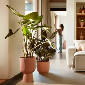 elho Vibes Fold Delicate Pink Coupe Pot - Ø30cm - image 3