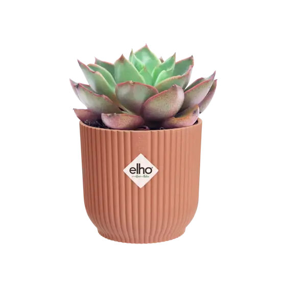elho Vibes Fold Delicate Pink Mini Pot Ø9cm - image 3