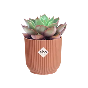 elho Vibes Fold Delicate Pink Mini Pot Ø9cm - image 3