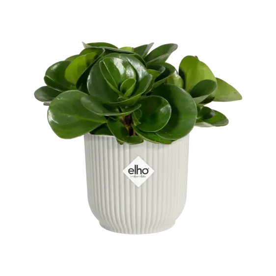 elho Vibes Fold Silky White Mini Pot Ø11cm - image 2