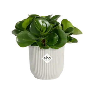elho Vibes Fold Silky White Mini Pot Ø11cm - image 2