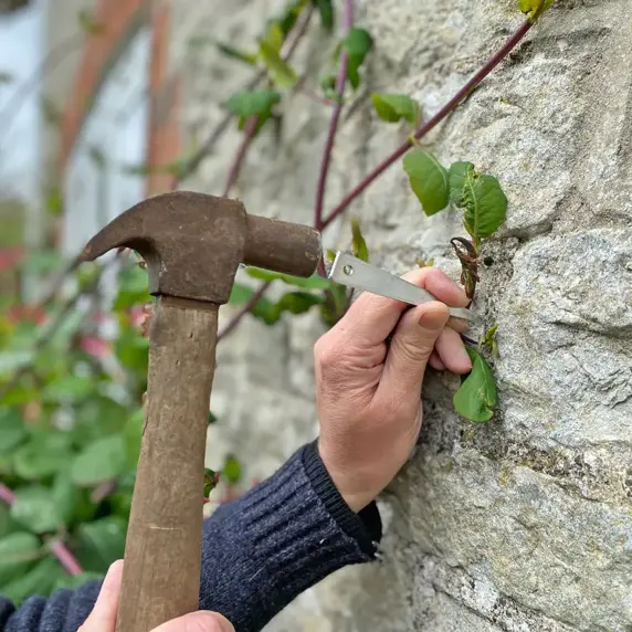 Vine Eyes 4" - image 1