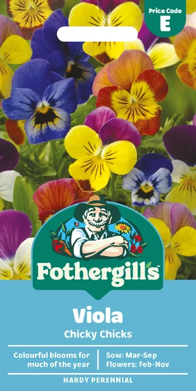 Viola Chicky Chicks - image 1